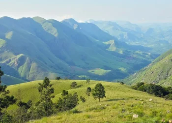 Catholic Cathedrals in Eswatini