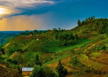 Catholic Basilicas in Rwanda