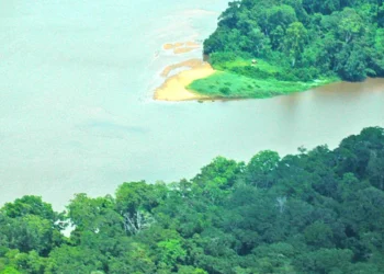 Catholic Cathedrals in Central African Republic