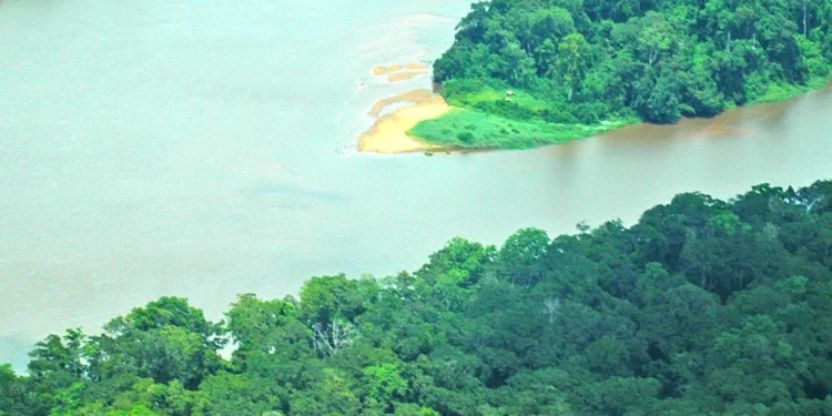 Catholic Cathedrals in Central African Republic