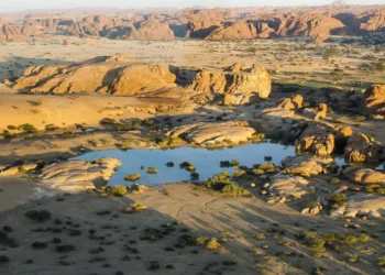 Catholic Cathedrals in Chad