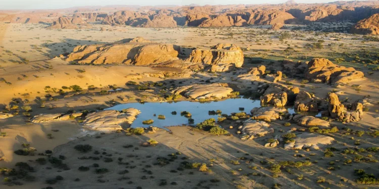 Catholic Cathedrals in Chad