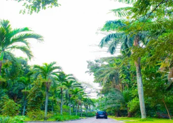 Catholic Cathedrals in Congo-Kinshasa