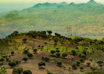 Catholic Cathedrals in Malawi 
