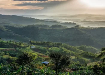 Catholic Cathedrals in Rwanda
