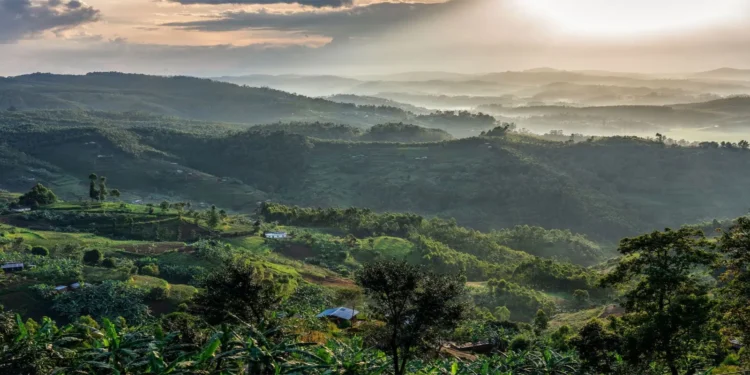 Catholic Cathedrals in Rwanda