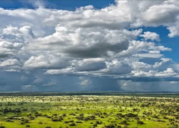 Catholic Cathedrals in South Sudan