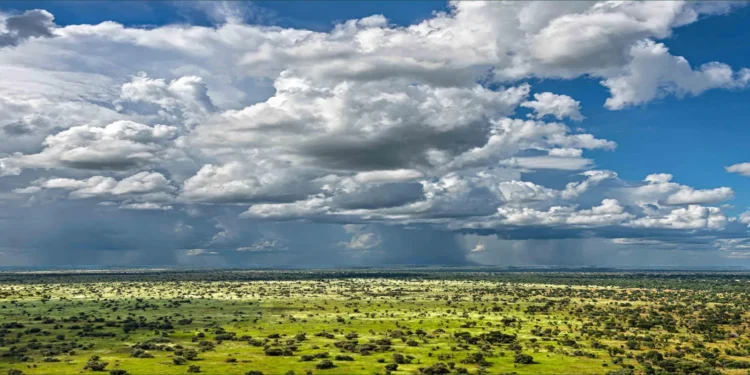Catholic Cathedrals in South Sudan