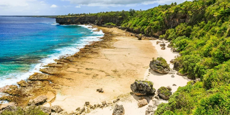 Catholic Basilicas in Tonga